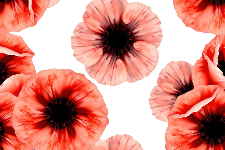Poppy Clipart Image 17