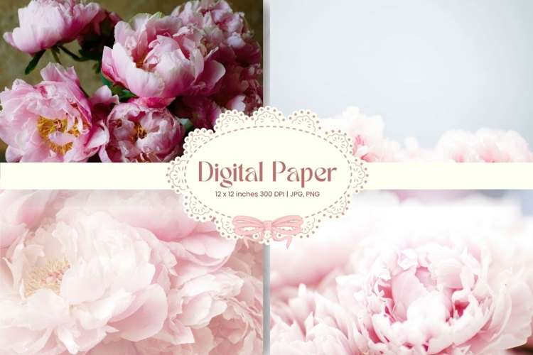 Flower Background Digital Paper Wallpaper Backdrop_48
