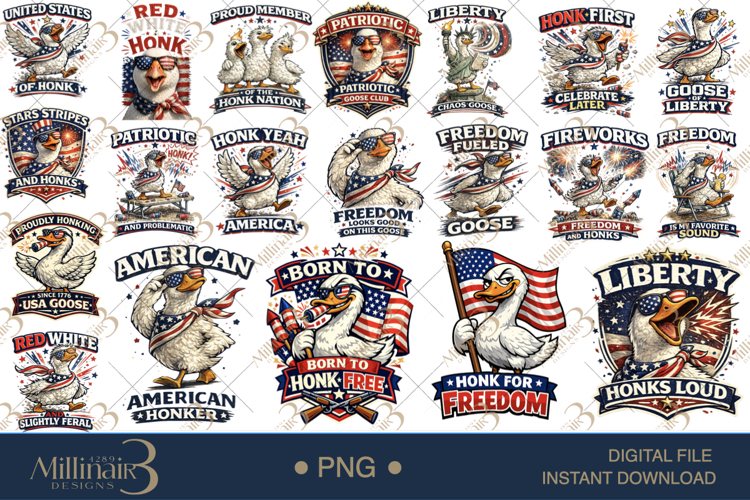 Usa PNG Image 14