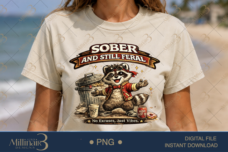 Raccoon Png Image 18