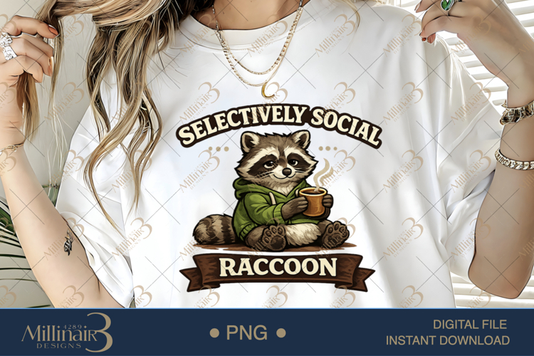 Raccoon Png Image 9