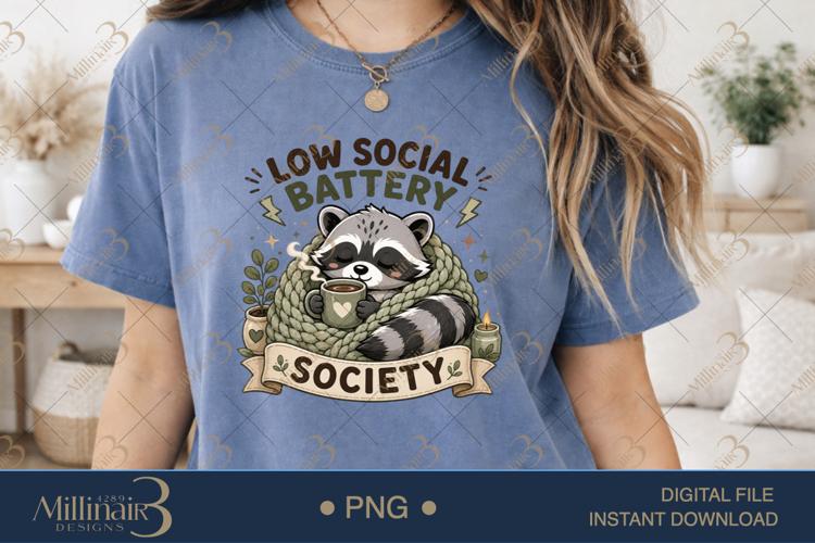 Raccoon Png Image 12