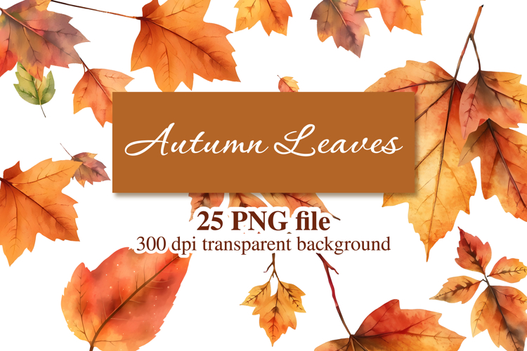 Leaf PNG Image 17
