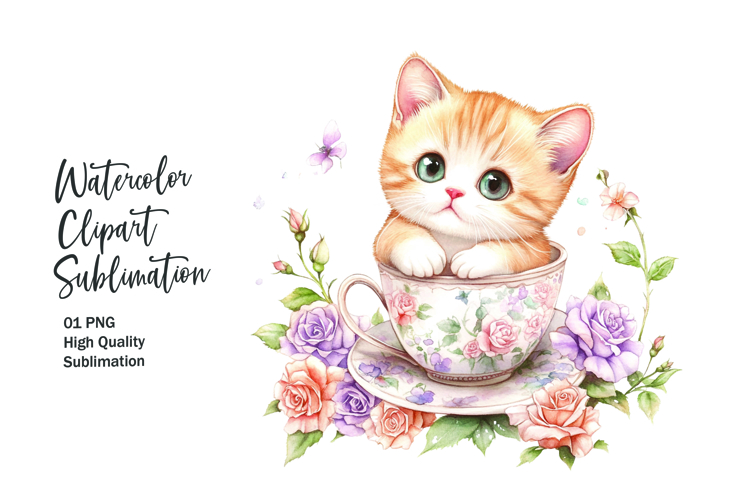 Kitten Png Image 13