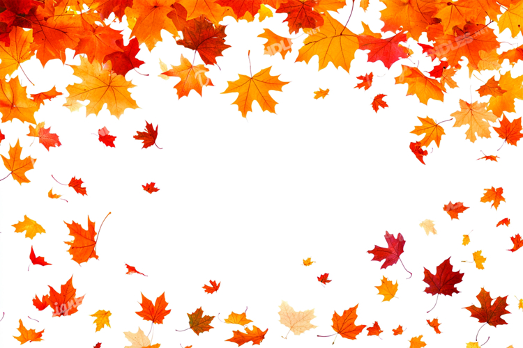 Autumn leaves background