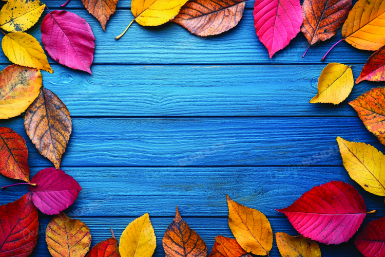 Scenery Clipart Image 2