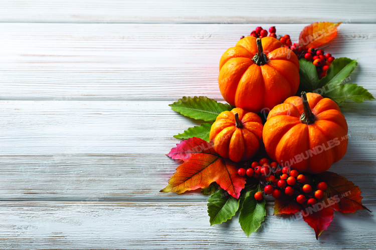 Pumpkin Background Image 10