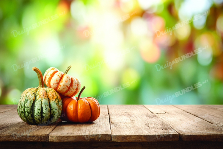 Thanksgiving Background Image 18