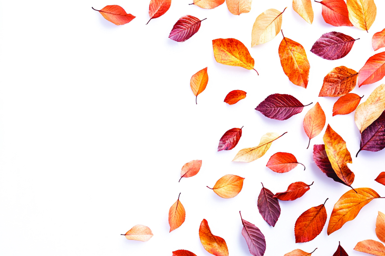 Scenery Clipart Image 7