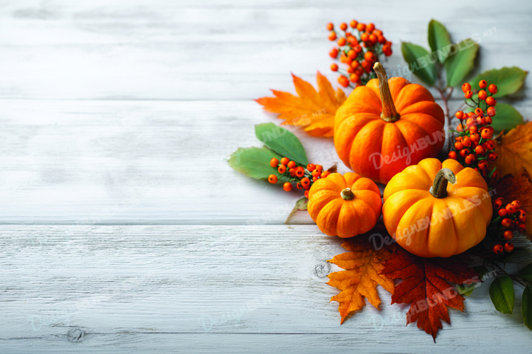 Pumpkin Background Image 8