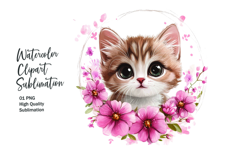 Kitten Png Image 22