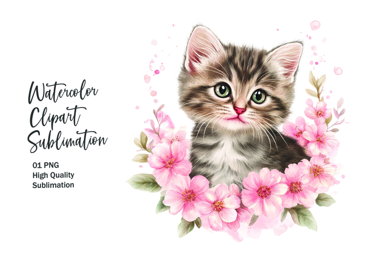 Kitten Png Image 20