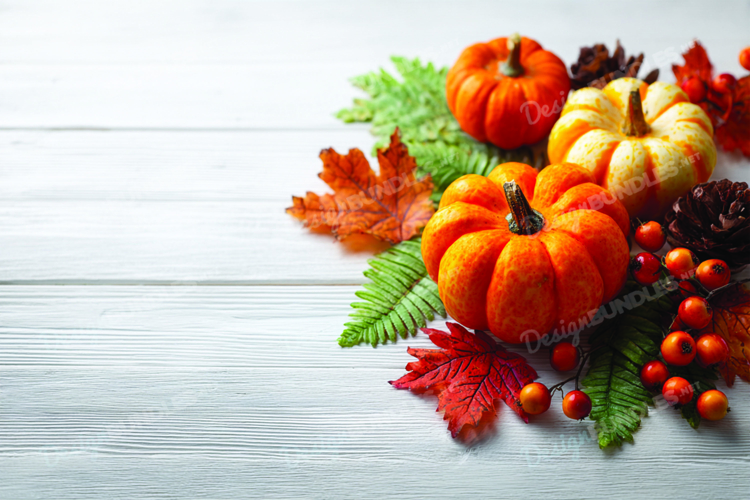 Pumpkin Background Image 7