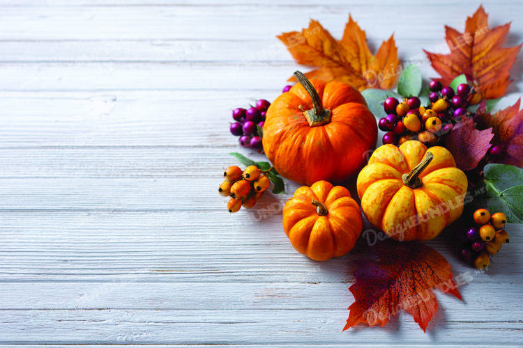 Pumpkin Background Image 6