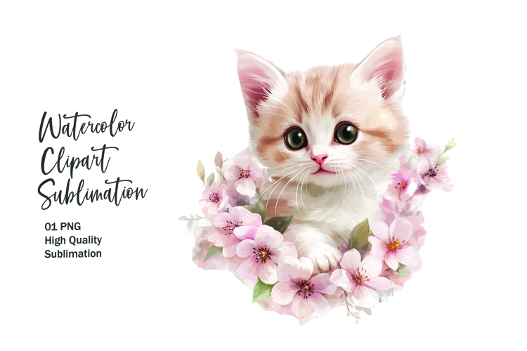 Kitten Png Image 19