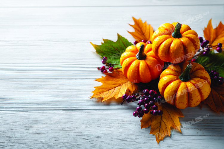 Pumpkin Background Image 5