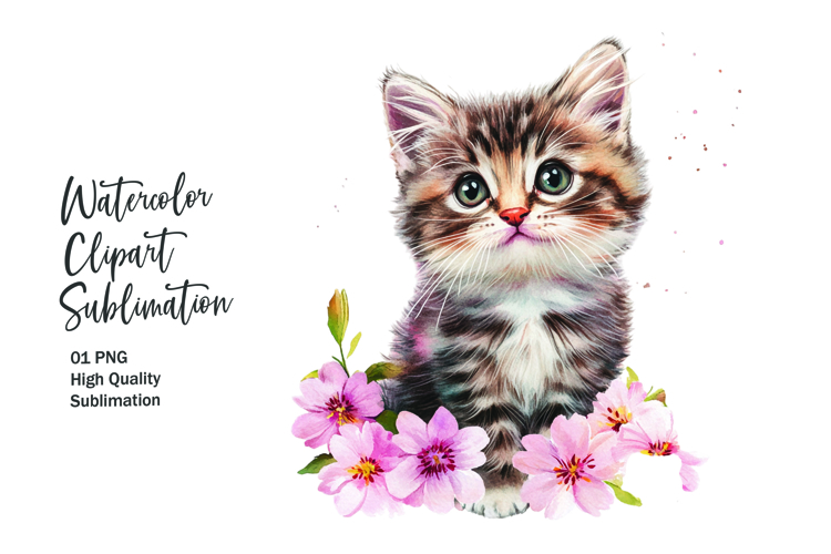 Kitten Png Image 17