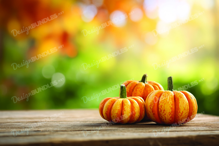 Thanksgiving Background Image 6