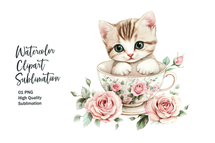 Kitten Png Image 12