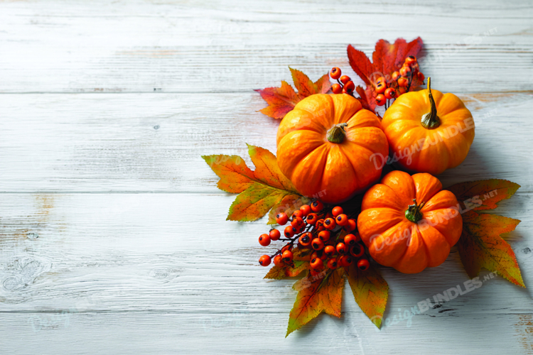 Pumpkins with Autumn Leaves Berries White Wooden Background