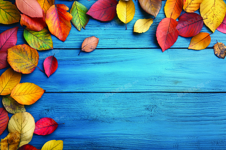 Scenery Clipart Image 14