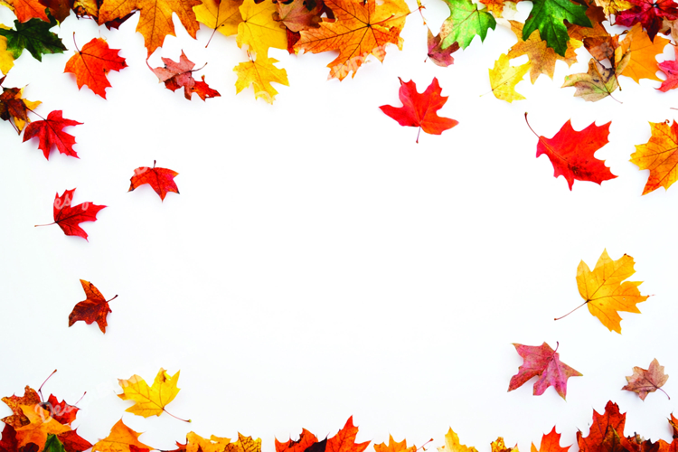 Scenery Clipart Image 17