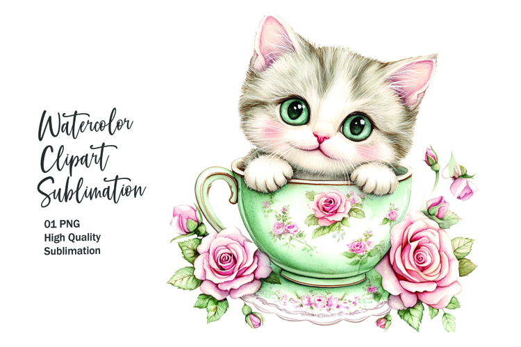 Kitten Png Image 11