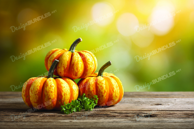 Thanksgiving Background Image 4