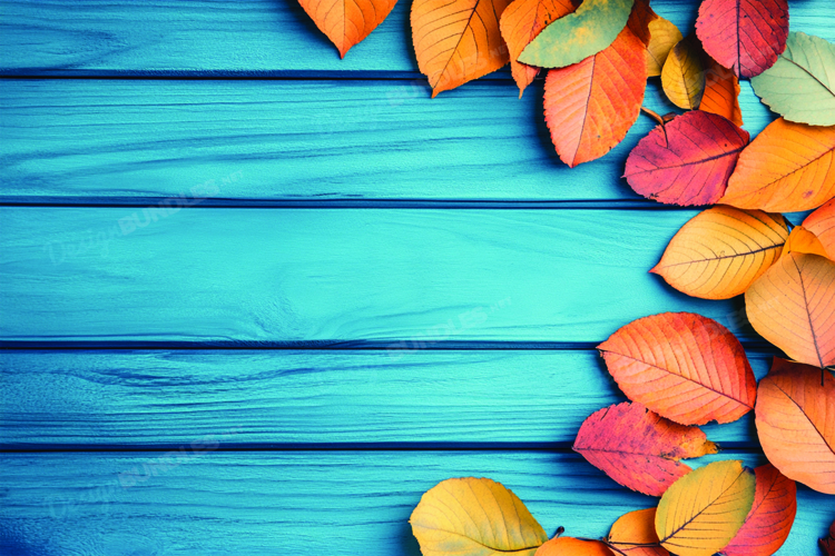 Autumn leaves on wooden background