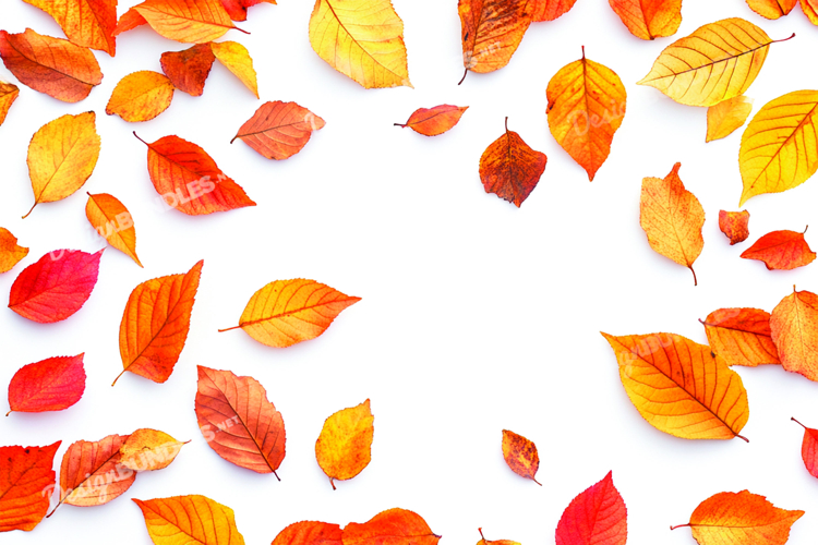 Scenery Clipart Image 14
