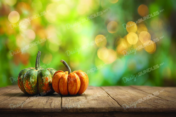 Thanksgiving Background Image 2