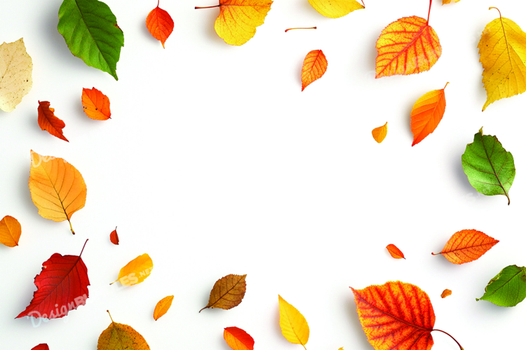 Scenery Clipart Image 13