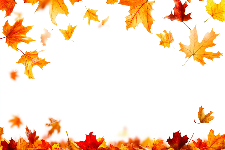 Autumn leaves background