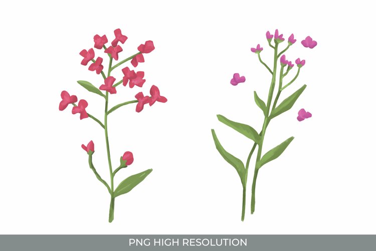 Flower Clipart Image 15