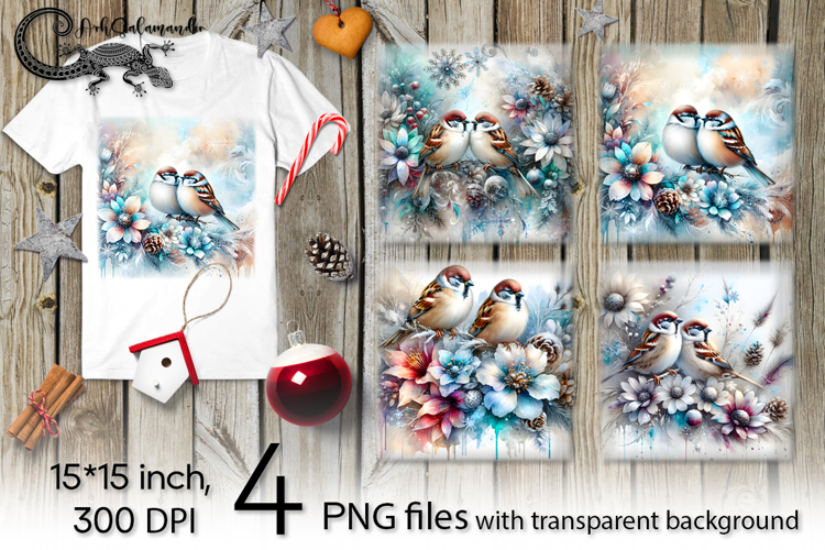 Christmas birds | 4 winter PNG Sublimation designs