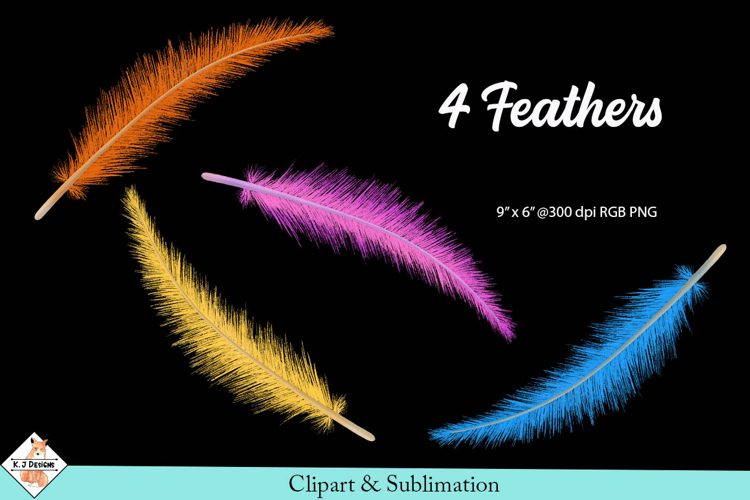 Feathers Clipart | Sublimation