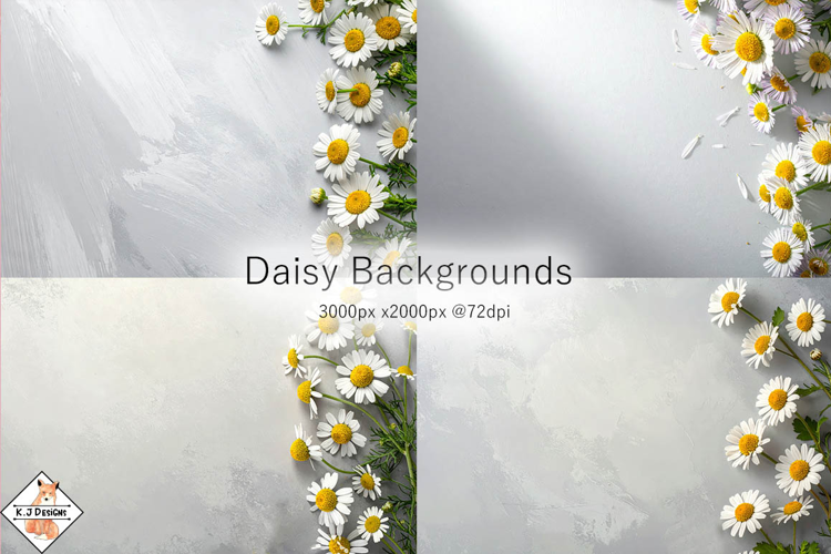 Daisy Flower Backgrounds jpg