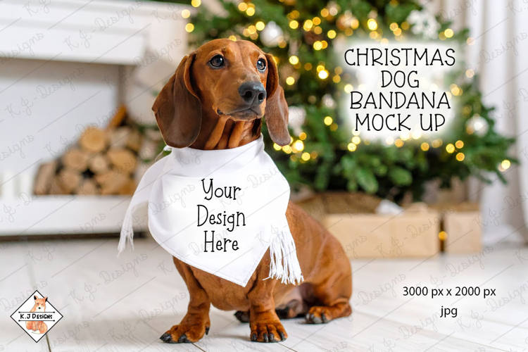 Dachshund Christmas Background Mock Up Photo jpg