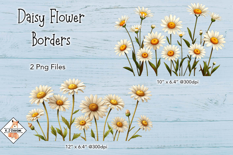 Daisy Flower Border Designs PNG