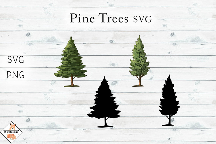 Pine Png Image 20