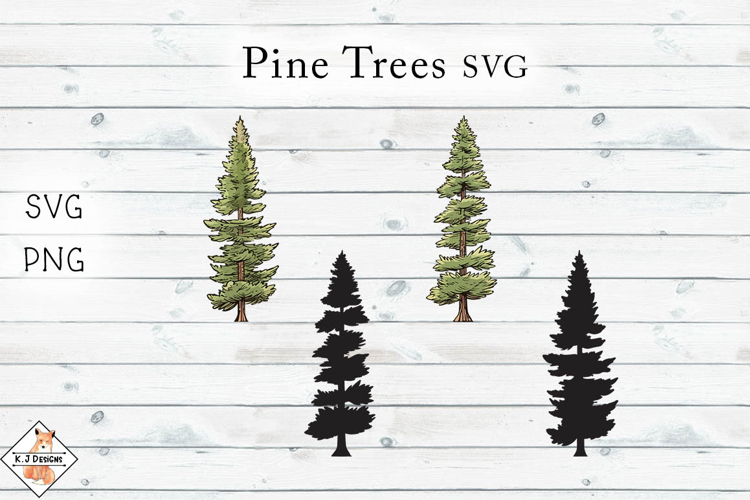 Pine Png Image 18