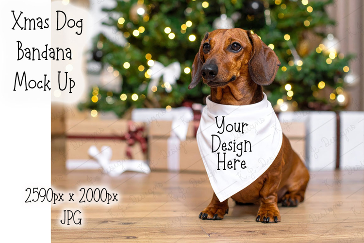 Dachshund Christmas Background Mock Up Photo jpg
