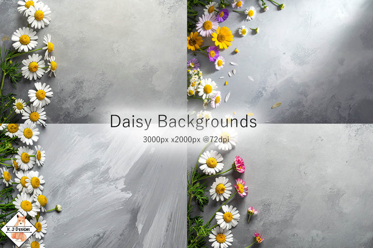 Daisy Flower Backgrounds jpg