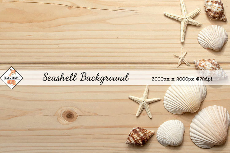 Seashells On Wood Background