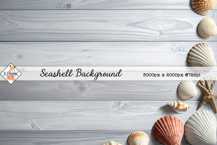 Seashells On Wood Background