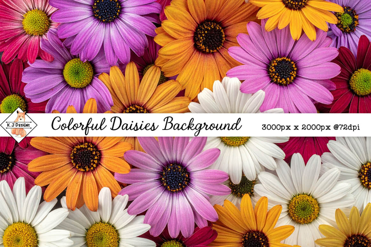 Daisies Background jpg | Flower Photos