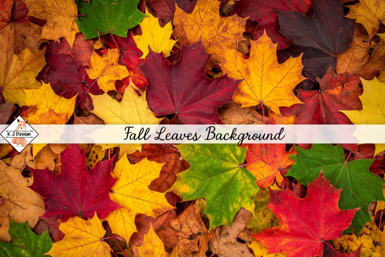 Fall Leaves Background jpg | Autumn