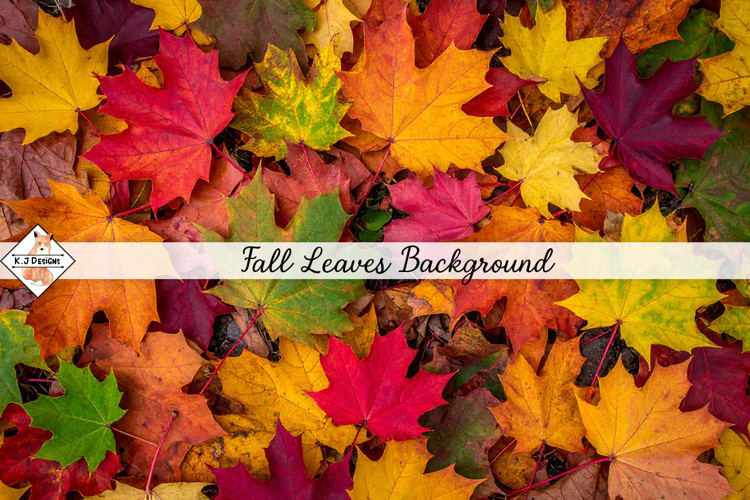 Fall Leaves Background jpg | Autumn