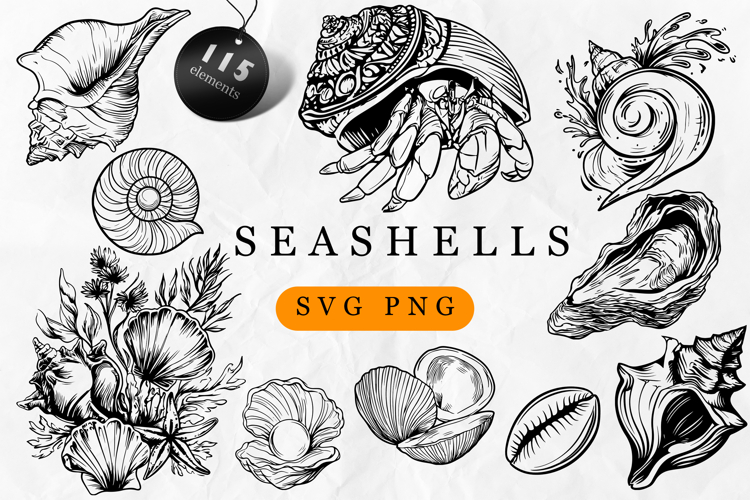 Seashell SVG Bundle