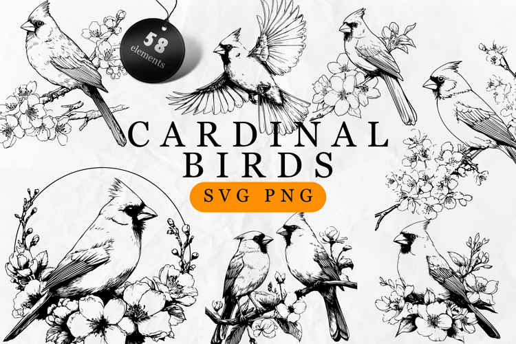 Cardinal Clipart Image 5